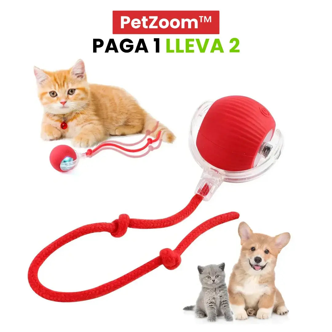PetZoom™: 2x1 Pelota Interactiva para Mascotas