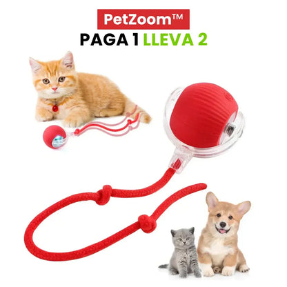 PetZoom™: 2x1 Pelota Interactiva para Mascotas