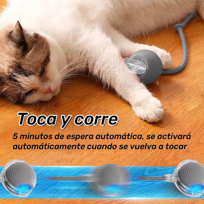PetZoom™ 2x1 Pelota Interactiva para Mascotas