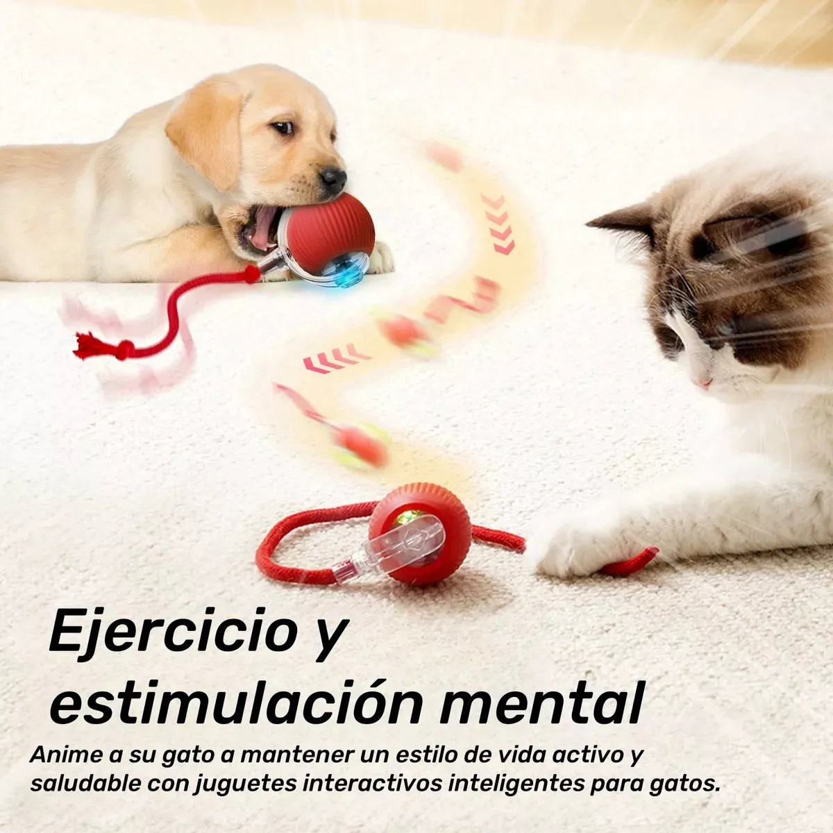 PetZoom™ 2x1 Pelota Interactiva para Mascotas
