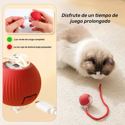 PetZoom™ 2x1 Pelota Interactiva para Mascotas
