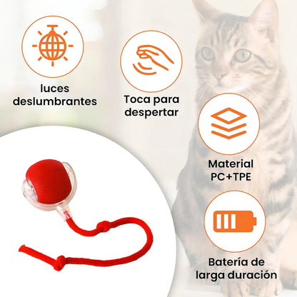 PetZoom™ 2x1 Pelota Interactiva para Mascotas