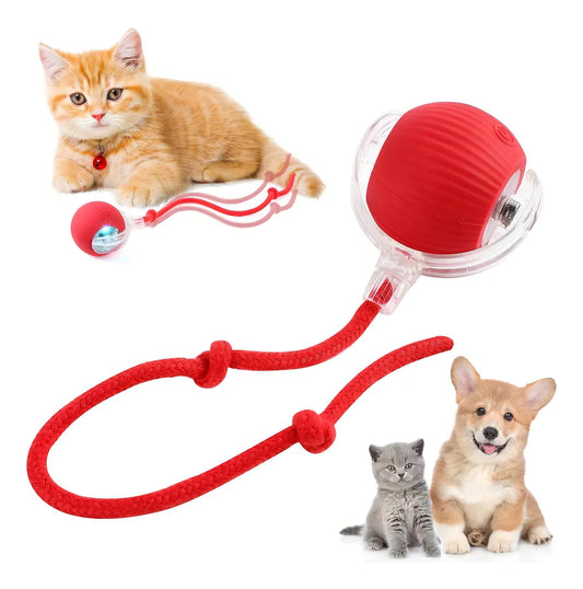 PetZoom™ 2x1 Pelota Interactiva para Mascotas