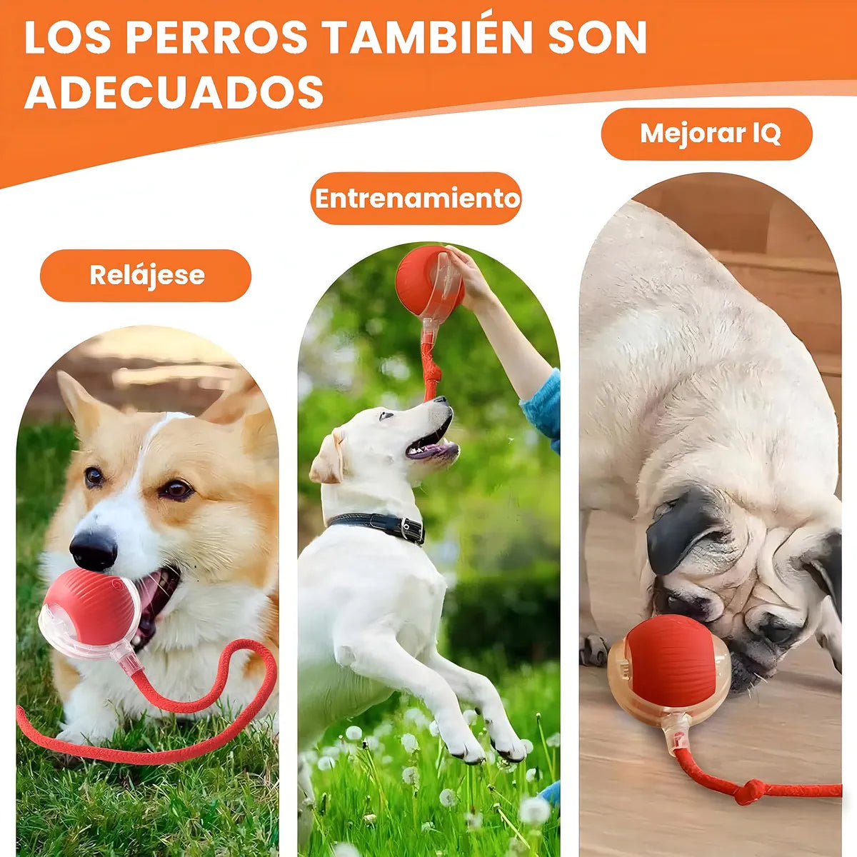 PetZoom™ 2x1 Pelota Interactiva para Mascotas