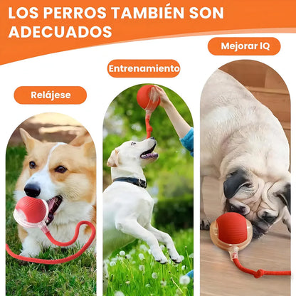 PetZoom™ 2x1 Pelota Interactiva para Mascotas